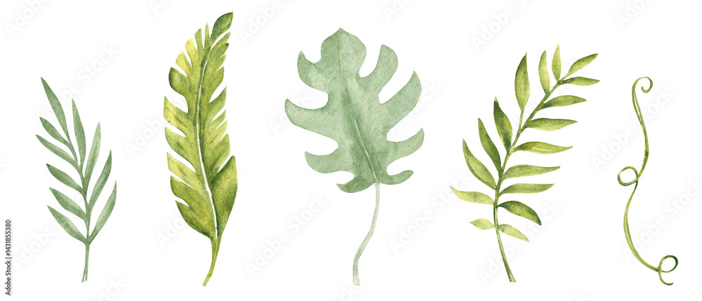 Tropical green Leaves set isolated on a white background. Banana Palm, Monstera and Eucalyptus Branches, Liana. Watercolor Hand drawn botanical illustration. Design elements for patterns, cards, logo Tropical green Leaves set isolated on a white background. Banana Palm, Monstera and Eucalyptus Branches, Liana. Watercolor Hand drawn botanical illustration. Design elements for patterns, cards, logo