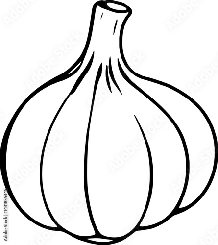 Single Garlic Bulb Line Drawing Simple Vegetable Illustration