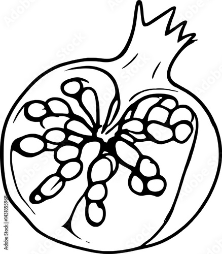 Line Art Drawing Of A Pomegranate Fruit Seeds Visible