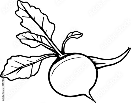 Line Drawing Of A Single Turnip With Leaves