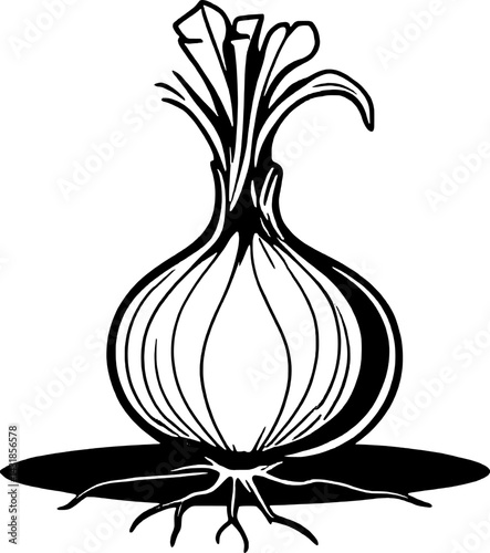 A Detailed Line Drawing Of A Single Onion With Roots