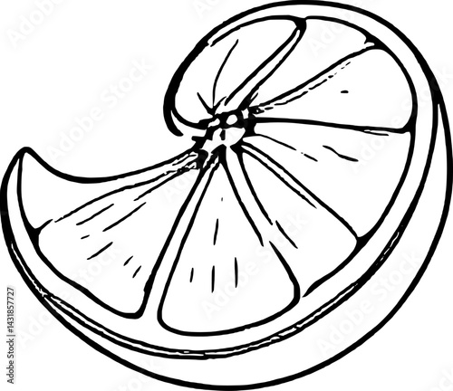 Hand-Drawn Illustration Of A Single Citrus Slice
