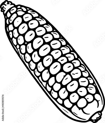Detailed Line Drawing Of An Ear Of Corn Isolated