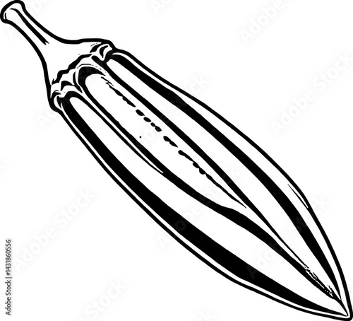 Single Okra Pod Line Art Illustration Botanical Drawing