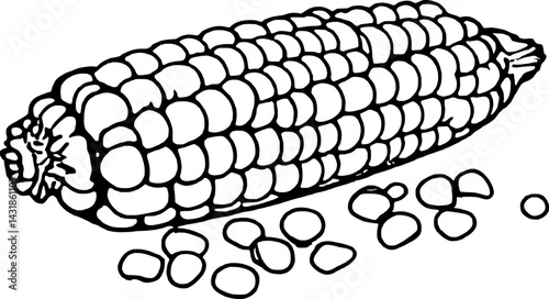 Single Ear Of Corn With Kernels Scattered Below