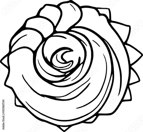 Abstract Swirling Seashell Design Nautical Spiral Artwork