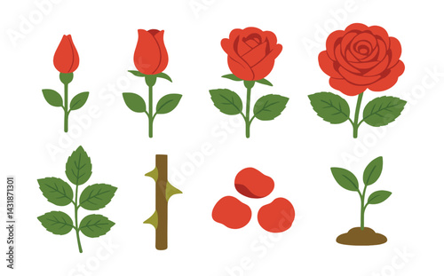 Progression of rose life stages: a icon set displaying growth and development. Vector icons