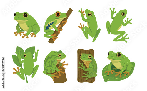 Charming tree frog icon set: 8 playful designs in flat style for nature-themed projects. Vector icons