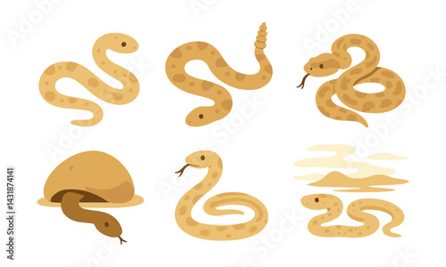 Minimalist desert snake icons set - with six unique snake designs. Vector icons