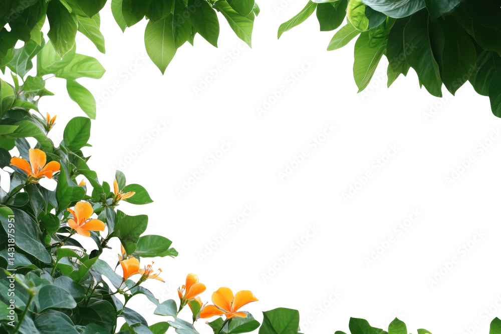 Fototapeta premium Vibrant flowers and lush leaves against a solid background creating a natural frame