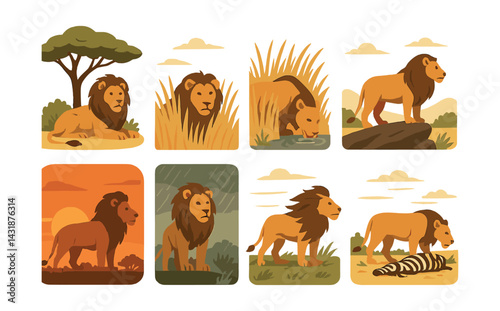 Daily life of lions - icon set featuring natural behaviors in flat style. Vector icons