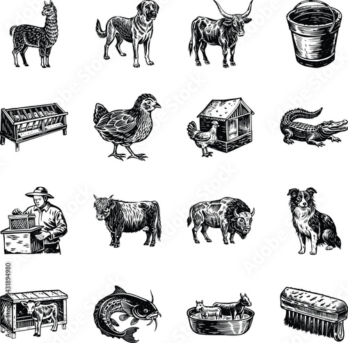 Collection of Farm Animal Vintage Illustrations 

