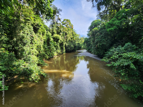 Danum Valley River view Surrounded by tropical jungle in Lahad Datu