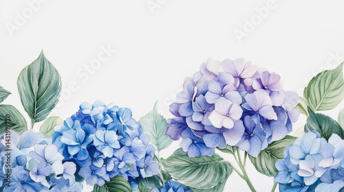 Wallpaper Mural Elegant wedding invitation card background . Minimal hand painted watercolor Hydrangea flowers texture template background. Design for wedding, vip cover, poster, rsvp moderncard.Valentine's Day Torontodigital.ca