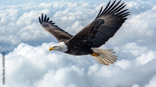 Majestic eagle soaring over clouds nature scene gigapixel standard scale aerial view freedom concept