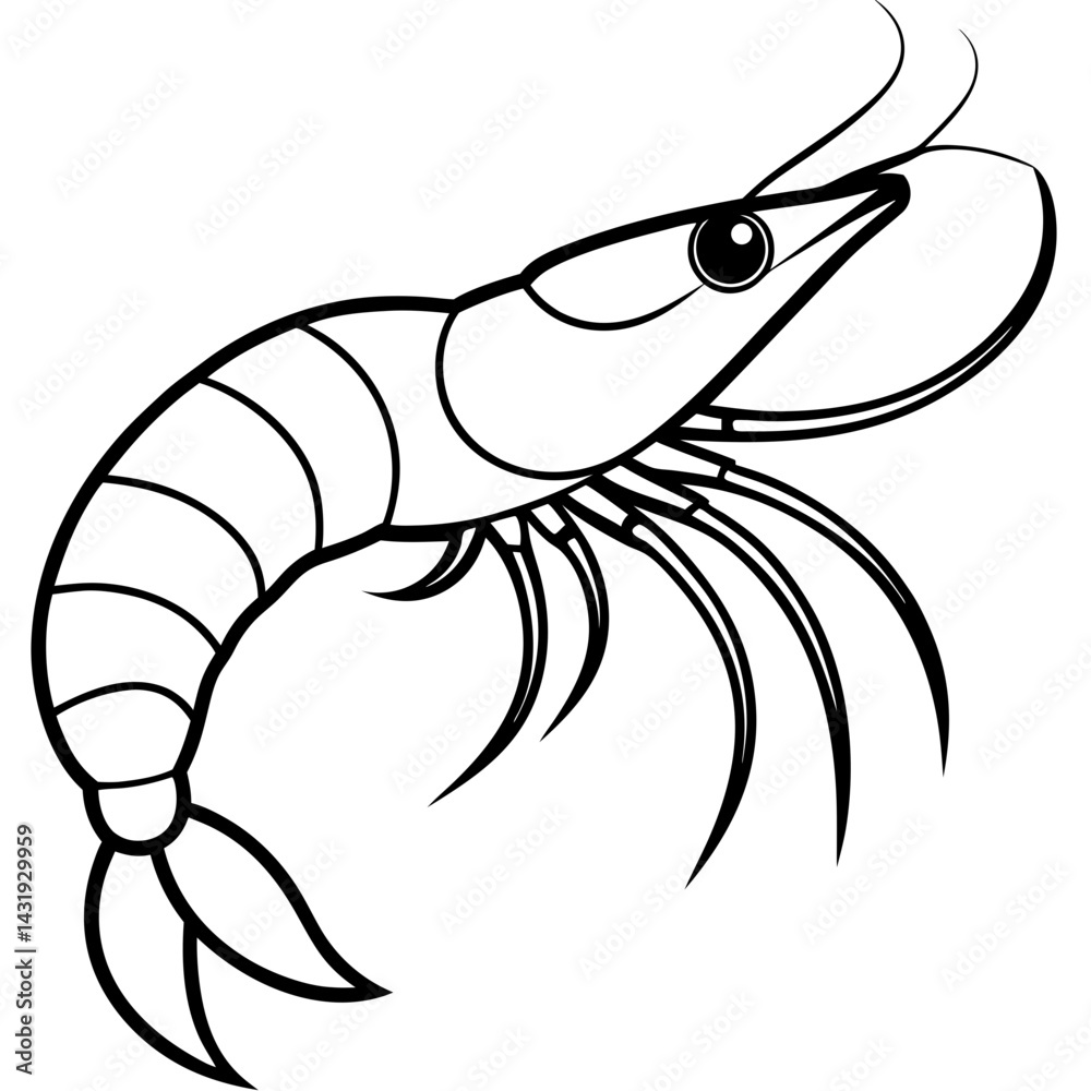 Fototapeta premium vector illustration of shrimp