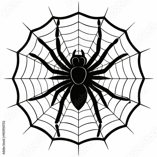 spider and web