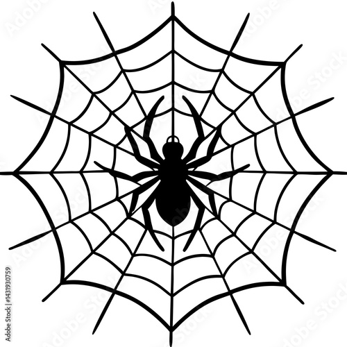 spider web