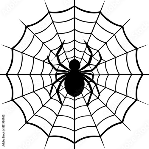 spider and web