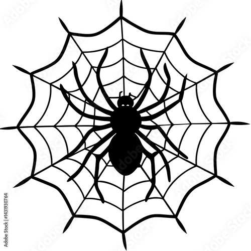 spider and web