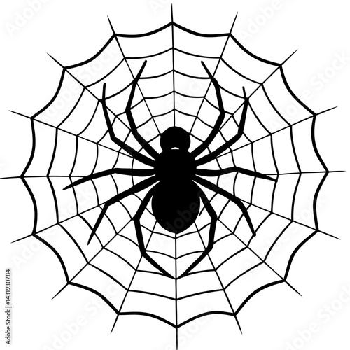 spider and web