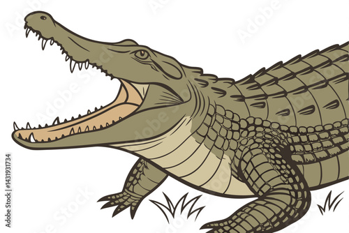 38 Realistic crocodile, open jaws, sharp teeth, scaly skin, aggressive pose, high detail, textured scales, studio lighting, white background, wildlife photography, reptile anatomy, natural colors, men