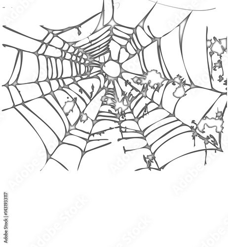 spiderweb