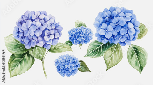Obraz na płótnie Elegant wedding invitation card background . Minimal hand painted watercolor Hydrangea flowers texture template background. Design for wedding, vip cover, poster, rsvp moderncard.Valentine's Day w salonie