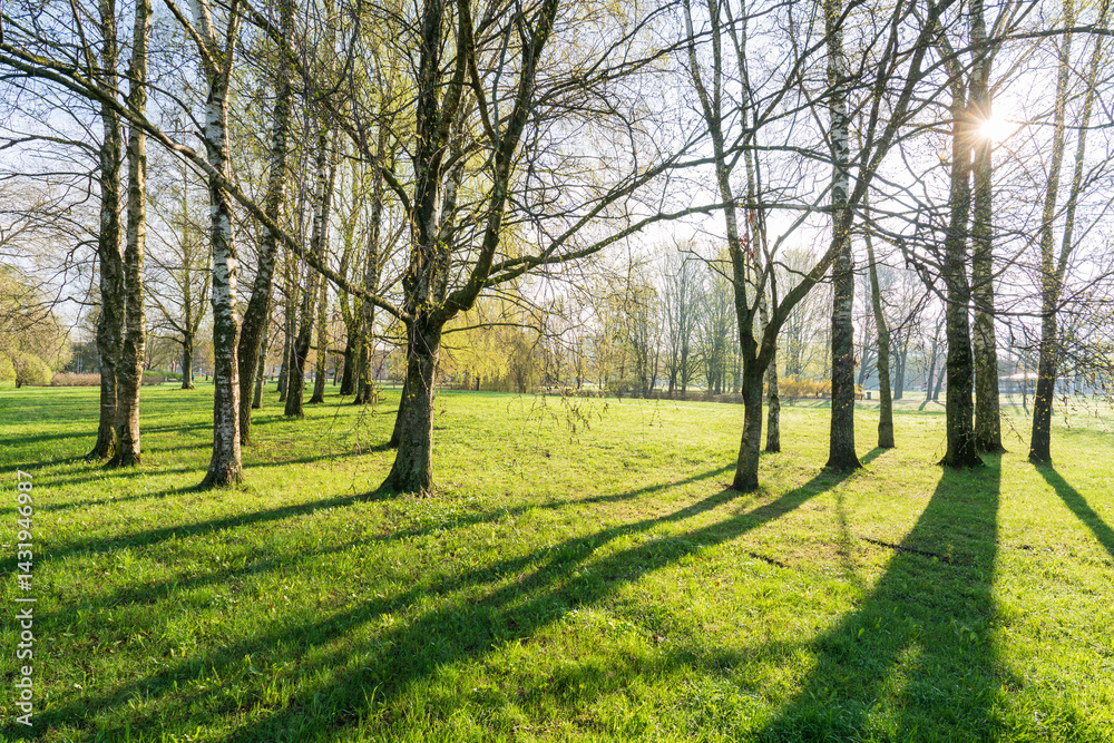 Fototapeta premium Aleksandra Grīna Park in Riga, Latvia