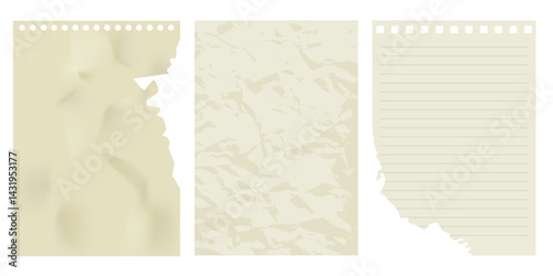 Torn paper sheets from a notepad. Set of torn realistic pages. Collection of sheets with lines and cells.