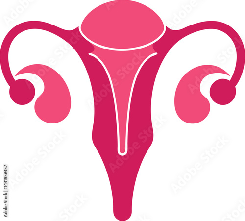 Uterus Vector
