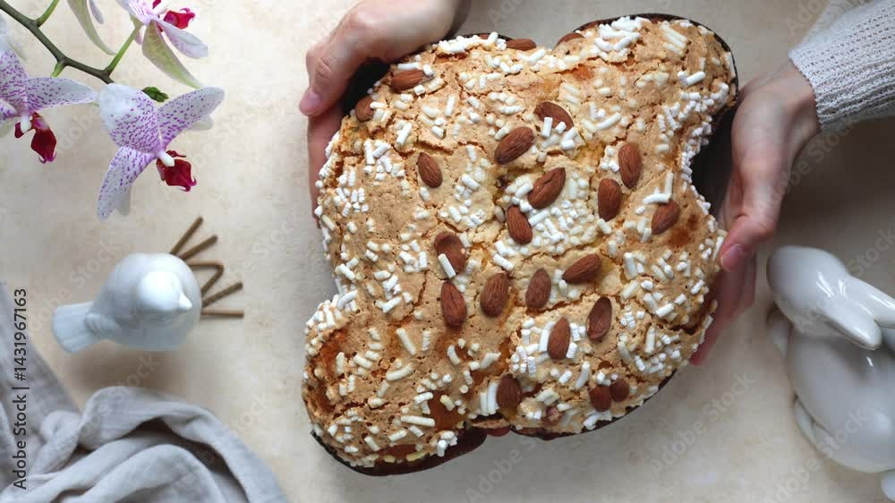 Woman hands serving Colomba pasquale or colomba di Pasqua  is an Italian traditional Easter bread or cake with almonds and raisins. Top view of table with flowers and easter bunny and bird.