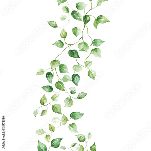 watercolor leafy vine png isolated on white transparent background