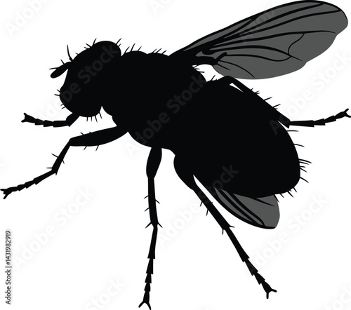 A black silhouette vector illustration depicts an isolated hairy fly insect against a white background AI Generative