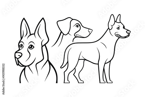Minimalist outlined drawings of dog breeds great dane dachshund and doberman illustration on white background