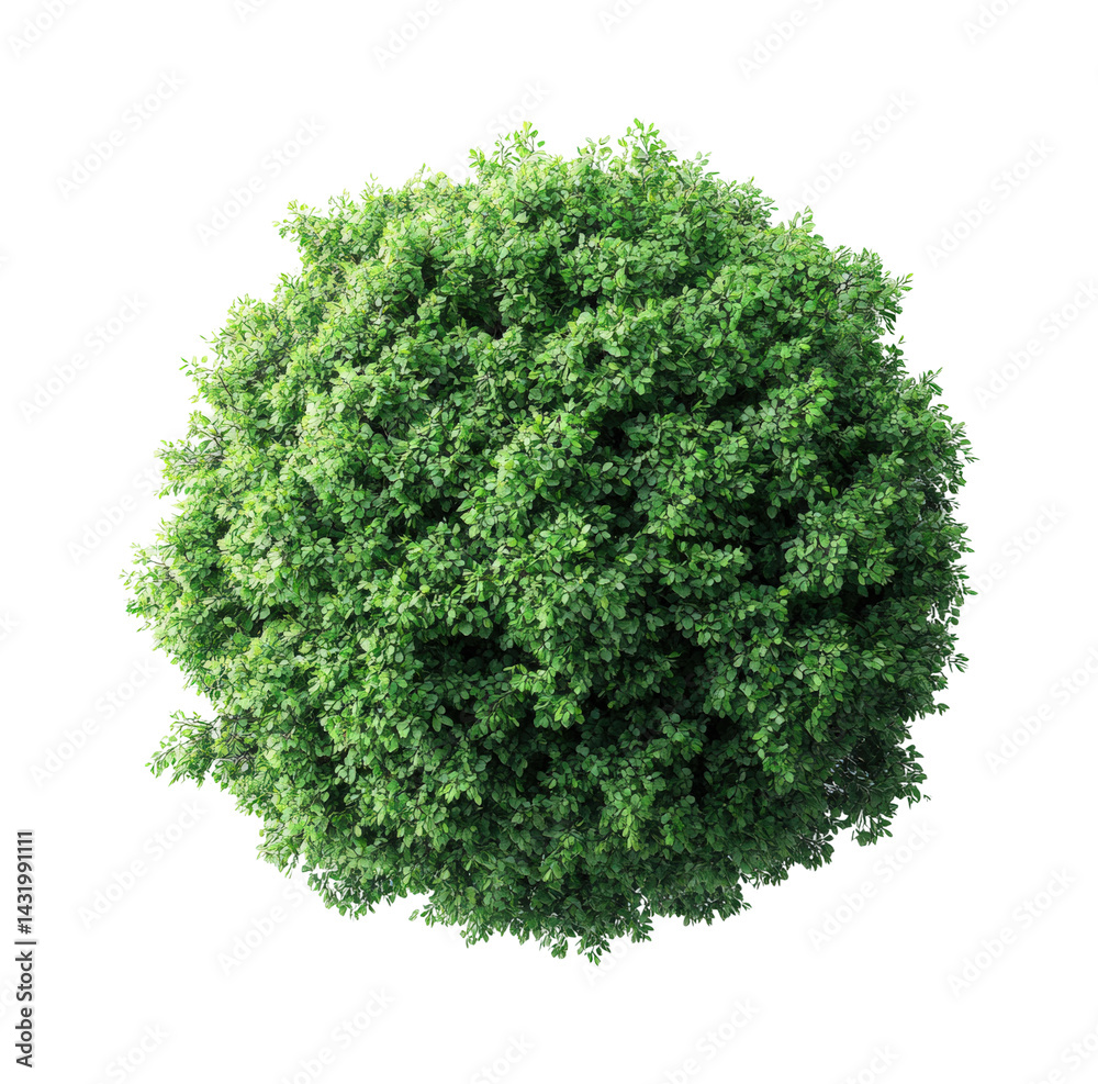 Obraz premium Lush green plant growth nature scene digital sphere top view environment isolated on transparent background