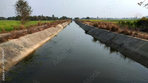 Wallpaper Mural canal passing through villages of india | canal filled with water  Torontodigital.ca