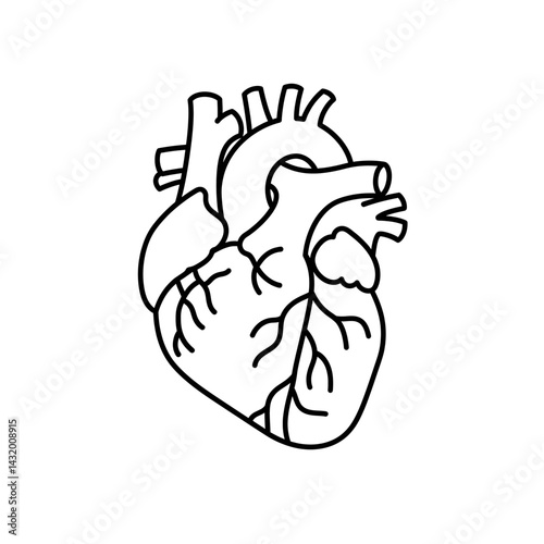 Anatomical Heart Icon Vector in Minimal Black Line Style Representing Human Biology, Cardiovascular Health and Medical Anatomy Illustration