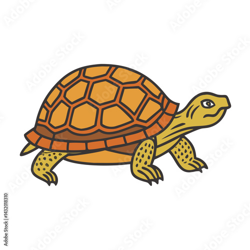 Illustration of a turtle tortoise reptile animal wildlife nature shell vector art graphic design drawing