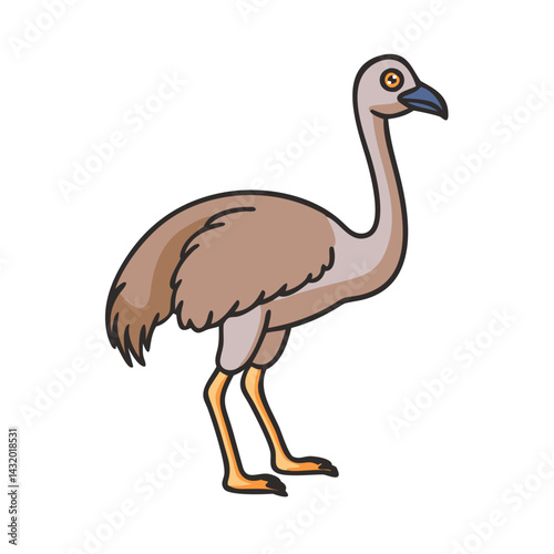 Illustration of a cartoon rhea bird, south american bird, flightless bird, wildlife animal, emu like bird