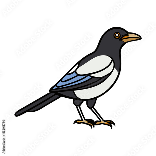 Illustration of a magpie bird, black and white bird, avian wildlife, nature drawing, magpie art