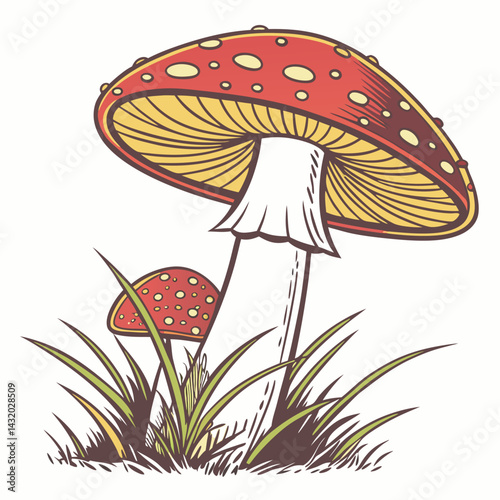 Vibrant red and white fly agaric mushrooms, a poisonous toadstool fungus, stand out in the autumn forest grass