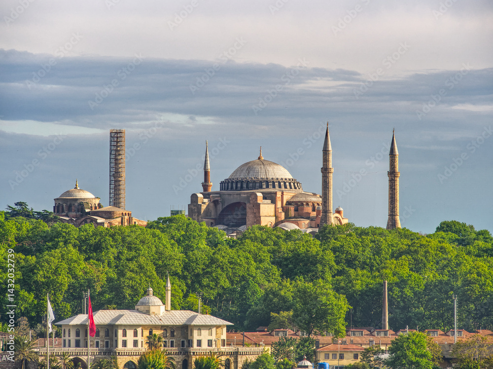 Naklejka premium Iconic Hagia Sophia mosque with its domes and minarets rising above green trees in Istanbul, Turkey