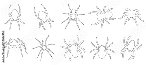 Spider.Set of different kinds of spiders.Halloween decorations.Vector collection of spiders.