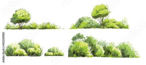 Vector watercolor green lush or forest side view isolated on white background for landscape and architecture drawing,elements for environment or and garden,Shrub for section