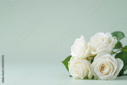 white roses on soft green background, romantic floral composition with copy space, elegant minimal layout for greeting card, love message or wedding design

