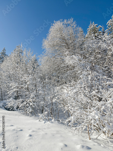 Panorama of Vitosha Mountain, Bulgaria