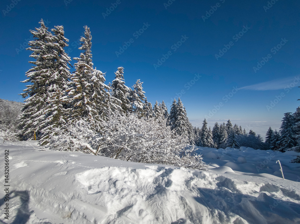 Panorama of Vitosha Mountain, Bulgaria