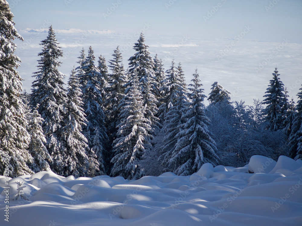 Panorama of Vitosha Mountain, Bulgaria