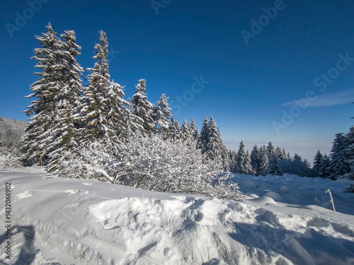 Obraz na płótnie Panorama of Vitosha Mountain, Bulgaria w salonie